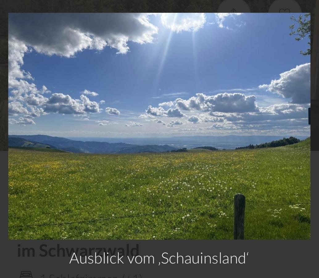 Toscana-Residenz Im Schwarzwald Utzenfeld Екстериор снимка